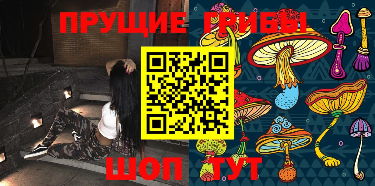 Псилоцибиновые грибы Psilocybine cubensis Солнечногорск